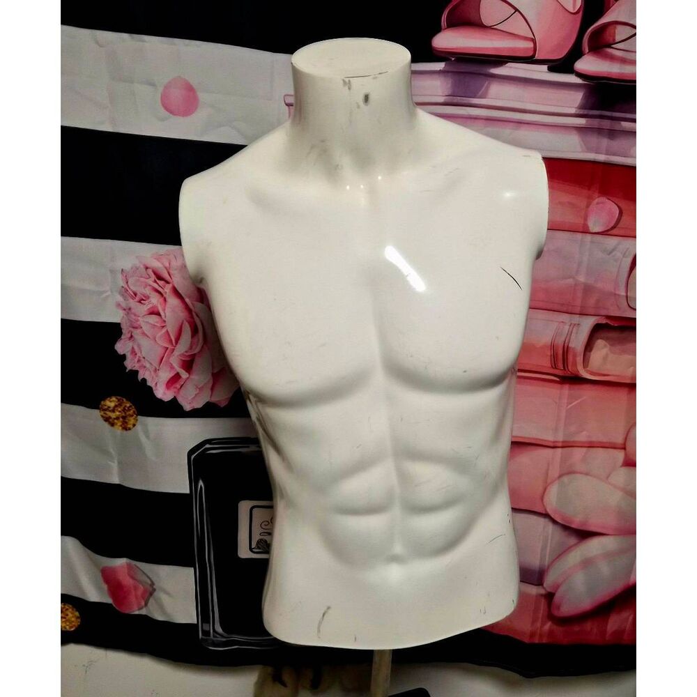 Male torso mannequin